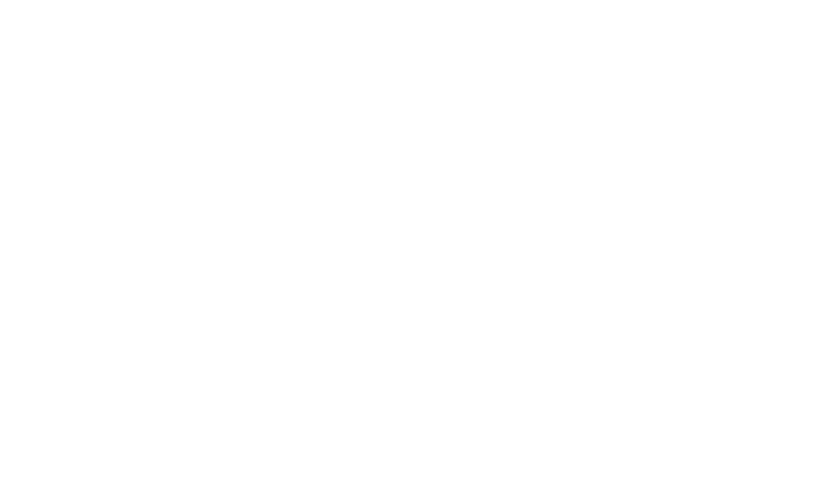 The Aussie Agency